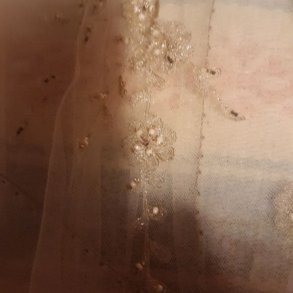 OLEG CASSINI COLLECTION WEDDING DRESS FROM DAVID'S - Picture 6 of 12